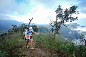 BIB: 
                            <button type="button" onclick="openModal(22372003)" class="btn btn-primary btn-sm float-right btn-popup" data-toggle="modal" data-target=".modal-high-quality">
                        <i class="fas fa-shopping-cart"></i> Add to Cart
                    </button>
                                            <button type="button" onclick="isThisMe(22372003, true)" class="btn btn-success btn-sm float-right btn-popup btn-isme hidden" data-toggle="tooltip" data-placement="bottom" title="นี่คือรูปของคุณใช่ไหม คลิกที่นี่เพื่อเอาเข้าอัลบั้ม">
                        <i class="fas fa-plus"></i> Add to album
                    </button>
                    <button type="button" onclick="isThisMe(22372003, false)" class="btn btn-warning btn-sm float-right btn-popup btn-isnotme hidden">
                        <i class="fas fa-ban"></i> Remove from album
                    </button>